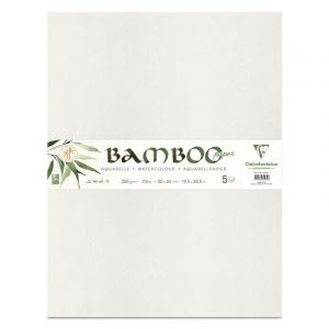 Papier Bamboo Clairefontaine, 50 cm x 65 cm, 250 g/m&sup2;, 250 g/m&sup2;, Paquet de 5 feuilles