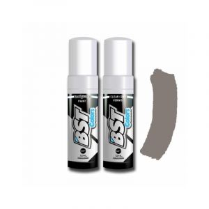 Pack stylo + vernis retouche BST couleur Suzuki Sonic Silver Met