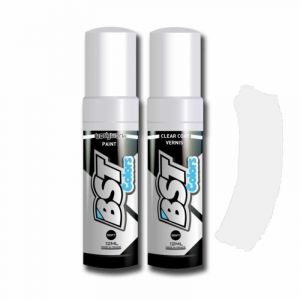 Pack stylo + vernis retouche BST couleur Kawasaki Stardust Pearl
