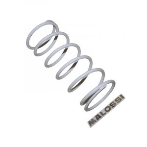 Ressort de pouss&Atilde;&copy;e Malossi Gilera GP800 Aprilia SRV850