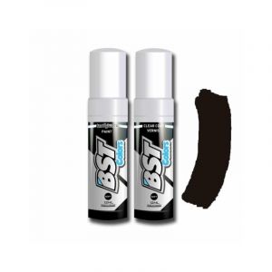 Pack stylo + vernis retouche BST couleur Honda Pearl Sienna Red