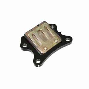 Clapet lamelle m&Atilde;&copy;tallique pour Peugeot Fox