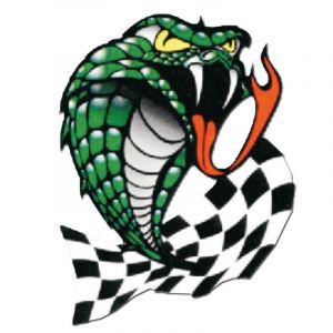 Autocollant Serpent damier 10x12