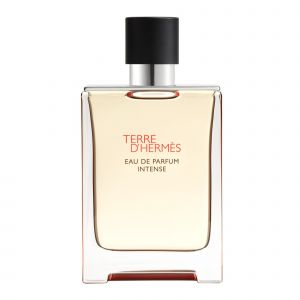 Hermès - Terre D'hermès Eau De Parfum Intense 100ml