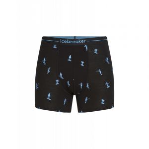 icebreaker 150 Anatomica Boxers Ski Day - Boxer laine m&eacute;rinos homme Black / AOP XXL