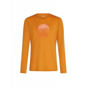 icebreaker 200 Oasis LS Crewe Ruapehu Round - Maillot thermique laine mérinos homme Ray L