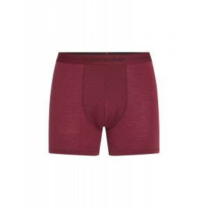 icebreaker 125 Cool-Lite Anatomica Boxers - Boxer laine mérinos homme Port XXL