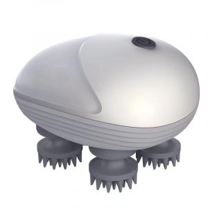 Électrique Cuir Chevelu Masseur De Poche Imperméable À L'eau Masseur De Tête Avec 4 Remplacement Des Têtes De Massage Pour La Croissance Des Cheveux, Soulagement Du Stress, De Nettoyage - Neuf
