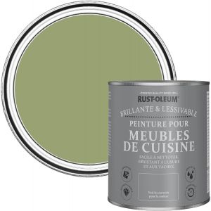 Peinture Verte pour Meubles de Cuisine,Finition Brillante Gris-Terrain Connu 750ml - Neuf