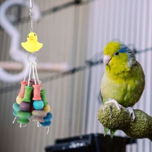 Hjlian Jouet Pour Perroquet, Jouet A Macher Pour Oiseaux, Jouet En Bois Suspendu, Jouet A Cloche Pour Perroquet - Neuf