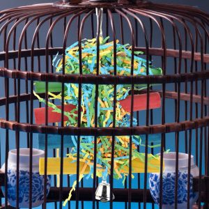 Hjlian Jouet D'escalade En Bois Pour Perroquet, Oiseau De Compagnie, Balancoire, Cloche, Papier A Macher, Echelle Suspendue - Neuf