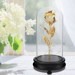 Hjlian Lampe De Nuit Led Magique Doree En Verre Avec Rose Artificielle, Luminaire Decoratif D'interieur, Ideal Comme Cadeau D'anniversaire - Neuf