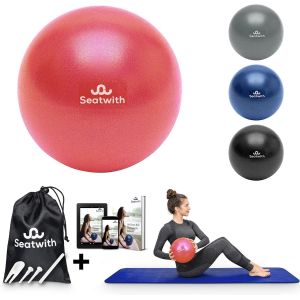 Ballon Pilates 23 Cm-Ensemble Complet Avec Sac De Transport + E-Book & Pdf D'exercices-D&eacute;butants & Utilisateurs Avanc&eacute;s-Petit Ballon De Gym L&eacute;ger Pour Le Sport &Agrave; La Maison Ballon,Pilate.[K996] - Neuf