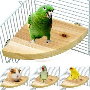 Plateforme Perchoir En Bois Naturel Pour Oiseaux - Support De Jeu Pour Perroquets Pour Petits Animaux, Sûr Et Facile À Nettoyer, Parfait Pour Les Accessoires De Cage - Neuf