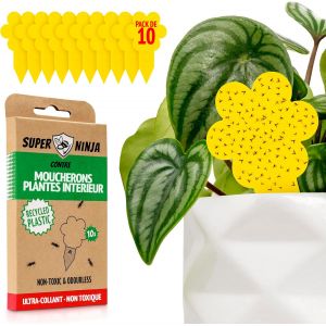 KALANKA-Piège à Moucheron Fongique, Lot de 10, Anti Moucherons d'Intérieur Ultra Efficace, Piège Jaune Collant Plante, Attrape Moucheron Non Toxique, Éco, Convient Mouche à Fruits, Jusqu¿à 3 Mois - Neuf