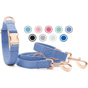 Collier De Chien Et Laisse En Cuir Souple, R&eacute;glable En 3 Longueurs Laisse Pour Chien Et Collier Ensemble [Facile &Agrave; Nettoyer] Avec Boucle En Or Rose & Durable Nylon Pour Chiot Petits Moyens Grands - Neuf