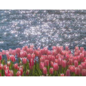 Ayuhr-Peinture Diamant 50 X 40 Cm - Fleurs Tulipes Au Bord De La Mer - Paillettes - Peinture Diamant - Paysage - Mosaïque - Broderie Au Point De Croix - Peinture Diamant - Art Cadeau - Décoration - Neuf