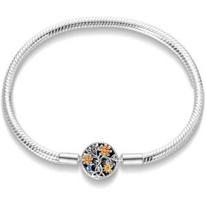 Eryi-Bracelet Pour Femme Pandora Charms Avec Fermoir C?ur En Argent 925,Bijoux Femme Cadeaux Noël Femme Anniversaire Fête Des Mères - Neuf
