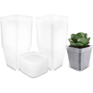 Kalanka-Pot Transparent Plante Pot Semis Avec Soucoupes, 30 Pi&egrave;ces Pot De Fleurs Plastique Pot De Fleurs Ext&eacute;rieur Pot De Fleurs P&eacute;pini&egrave;re Godet Semis Avec Trous De Drainage Pour Semis Succulentes - Neuf