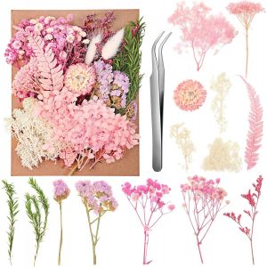Fleurs Séchées Naturelles,Fleurs Sechees Decoration Vraies Fleurs Pressées Séchées pour Scrapbooking Bougie Bricolage Résine Époxy Floral Fabrication Artisanale (Rose Clair) - Neuf