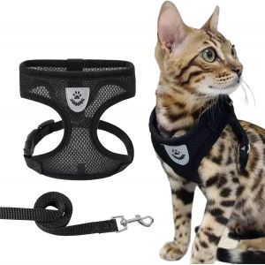 Eryi-Ensemble Harnais Et Laisse Pour Chien, Harnais Réglable Anti-Traction Et Anti-Étouffement Pour Chiens De Petite, Moyenne Et Grande Taille, Gilet Respirant Avec Laisse - Neuf