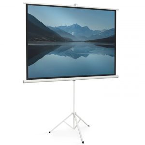 Ecran de projection 84 pouces avec support tr&eacute;pied hauteur r&eacute;glable - Neuf