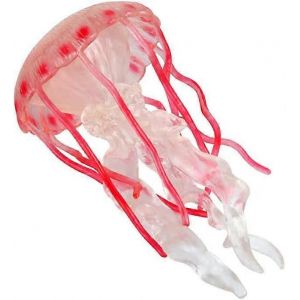 Simulation Créature Marine Animal Statue Réaliste En Plastique Animal Marin Modèle Animal Marin - Neuf