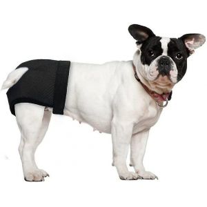 Couches En Maille Respirante Pour Chiennes - Lot De 2, Taille Xl, Lavables, Réglables, Anti-Fuites, Idéales Pour La Chaleur Et L'incontinence - Neuf