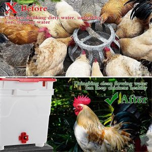12pcs Horizontal Chicken Abreuvoirs Avec Forets,Système D'abreuvement De Volaille Étanche Pour Poussin - Neuf