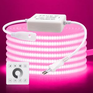 220V Ruban LED COB, 288 LEDs/m Dimmbar Bande LED Lumineuse IP65 &eacute;tanche Flexible Neon Light Strip Avec 750w Gradateur monochrome pour Maison Chambre Cuisine DIY Dekoration. - Neuf