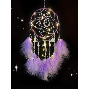 Petit Attrapeur de Rêves avec Lumière LED,Capteur de Rêves avec Plumes Fait Main,Dreamcatcher Décoration Murale Ornement Maison (Violet) - Neuf