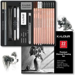 JEXNOVASHOP-Set de dessin au fusain de 22, fournitures d'art professionnelles, crayons fusain noir et blanc pour le dessin, le croquis, l&iquest;ombrage et le m&eacute;lange, pour artistes, d&eacute;butants - Neuf