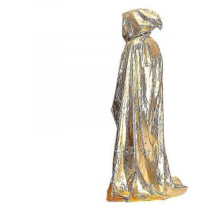 Cape &Agrave; Capuche Dor&eacute;e - Accessoires D'halloween 1pc - Neuf