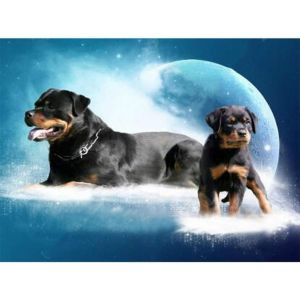 Kit De Broderie Diamant 5d À Faire Soi-Même,Paysage Naturel,Motif Chien Rottweiler,Point De Croix,Mosaïque De Diamant,40 X 30 Cm - Neuf