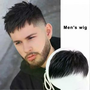 Postiche Pour Hommes Perruque &Eacute;l&eacute;gante Pour Hommes Perruque De Cheveux Synth&eacute;tiques D'apparence Naturelle Pour Les Taches Couverture De Cheveux Gris Postiche Court Droit - Neuf