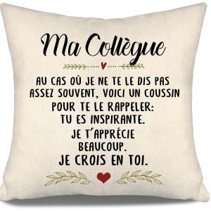 Ershi-Housses De Coussin Pour Les Collègues Pour Les Femmes Anniversaire Cadeau De Noël Cadeau D'appréciation De Départ Voici Un C[3188] - Neuf