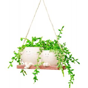 TEPPE-Petit pot de fleurs, à suspendre, avec visage balançoire, pour plantes succulentes, avec trous de drainage, mini pots de fleurs en résine, pots à suspendre pour plantes - Neuf