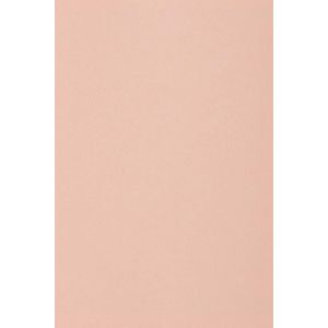 10x carton rose clair 250g papier décoratif A5 148,5x210mm Burano Rosa idéal pour cartes de voeux scrapbooking bricolage invitations art et artisanat anniversaire DIY loisirs créatifs - Neuf