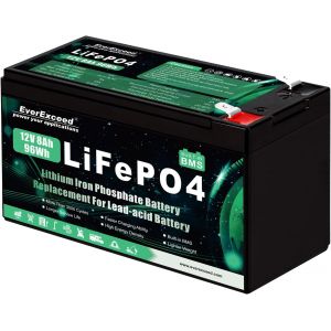 VornixorSarlshopBatterie Lifepo4 12V 8Ah Batterie lithium 12V &agrave; plus de 3 000 cycles profonds pour &eacute;nergie solaire/&eacute;olienne, &eacute;clairage, sondeurs de p&ecirc;che, Power Wheels et plus encore, BMS 10A int&eacute;gr&eacute; - Neuf