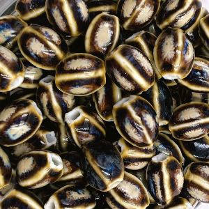 10 Perles En Porcelaine Artisanale Ovale Caf&eacute; Antique &Eacute;maill&eacute;e 13mm - Trou 2,5mm - Neuf