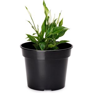 Pots Horticulture Ronds Pots pour Culture de Plants de Plantes et Fleurs GD-0025 (Noir,&iquest; 35 cm H 29 cm) - Neuf