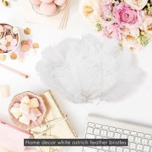 10 Pi&egrave;ces Plume D'autruche Naturelle Blanche 20-25cm Mariage Diy - Neuf