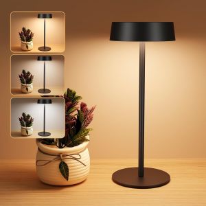 Subzonal-Lampe De Table Solaire Sans Fil, Lampe De Chevet Rechargeable Solaire Et Usb-C, 3 Modes De Couleur Et Luminosit&eacute; R&eacute;glable, Ip65 Etanche Pour Salle &Agrave; Manger, Chambre, Salon, Camping - Neuf