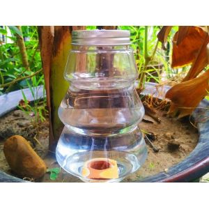 Arroseur automatique de plantes de 500 ml pour le jardin et l'int&eacute;rieur - Neuf