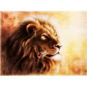 Oayew-5d Diamond Painting Diy Kits Lion, Peinture D'art Animalier B&ecirc;te Broderie Diamant Kits De Broderie Au Point De Croix Strass Rond R&eacute;sine Peinture D&eacute;cor &Agrave; La Maison, (30x40 Cm) - Neuf