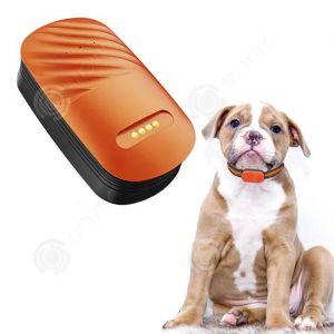 INN Collier gps pour chats et chiens 4g &eacute;tanche syst&egrave;me cl&ocirc;ture anti-fugue traceur gps pour animaux traqueur gps pour chats et - Neuf