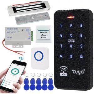 Kit De Serrure De Porte Sans Clé Tuya Imperméable À L'Eau Double Fréquence Clavier Avec Dc 12V Électrique 180Kg Magnetic Lock 3A Système De Sécurité D'Alimentation[MAT790663] - Neuf