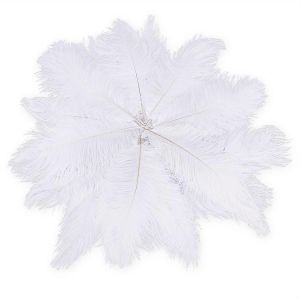 20 X Plume D'autruche Naturelle 25-30cm Décoration Blanche Festivités - Neuf