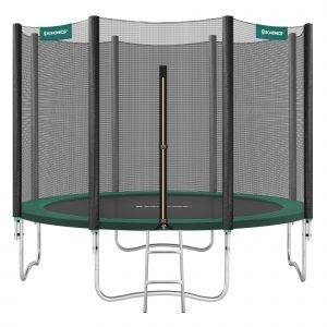 Trampoline Ext&eacute;rieur, T&uuml;v Rheinland Gs Certifica, Avec &Eacute;chelle, Filet De Protection,Diam&egrave;tre 305cm, Noir Et Verte - Neuf