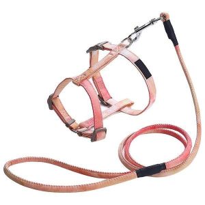 Corde De Traction &Eacute;l&eacute;gante Et R&eacute;glable Pour Petits Chiens Et Chats Avec Sangle De Poitrine En Forme De I - Laisse Durable Et Confortable - Neuf